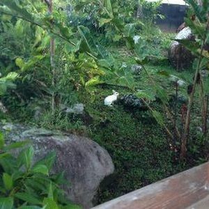 Meet your Posher, Paris